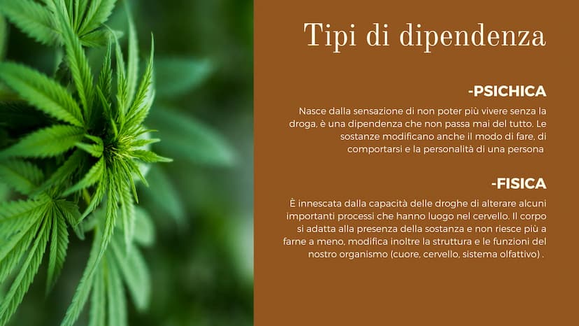 scienze
Effetti delle
droghe
DROGHE:
Si chiamano droghe tutte le sostanze psicoattive o psicotrope,
che modificano il funzionamento del sist