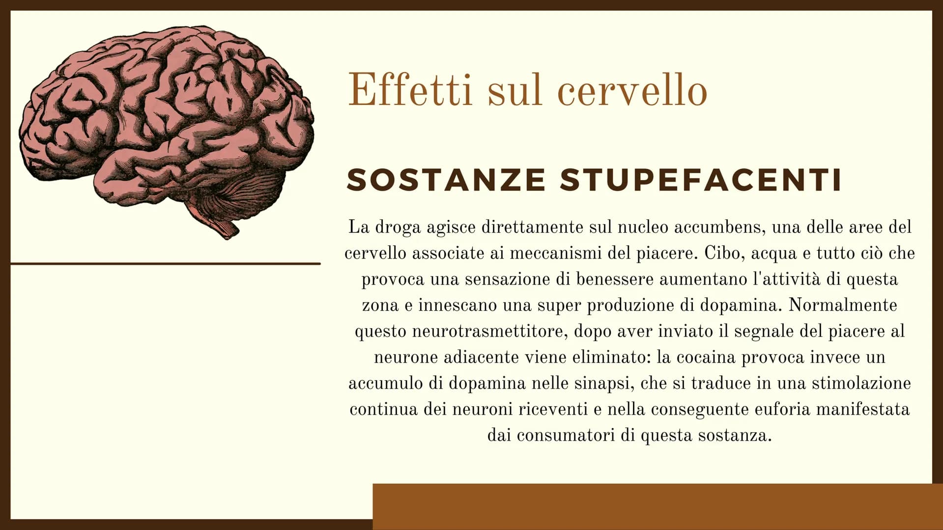 scienze
Effetti delle
droghe
DROGHE:
Si chiamano droghe tutte le sostanze psicoattive o psicotrope,
che modificano il funzionamento del sist