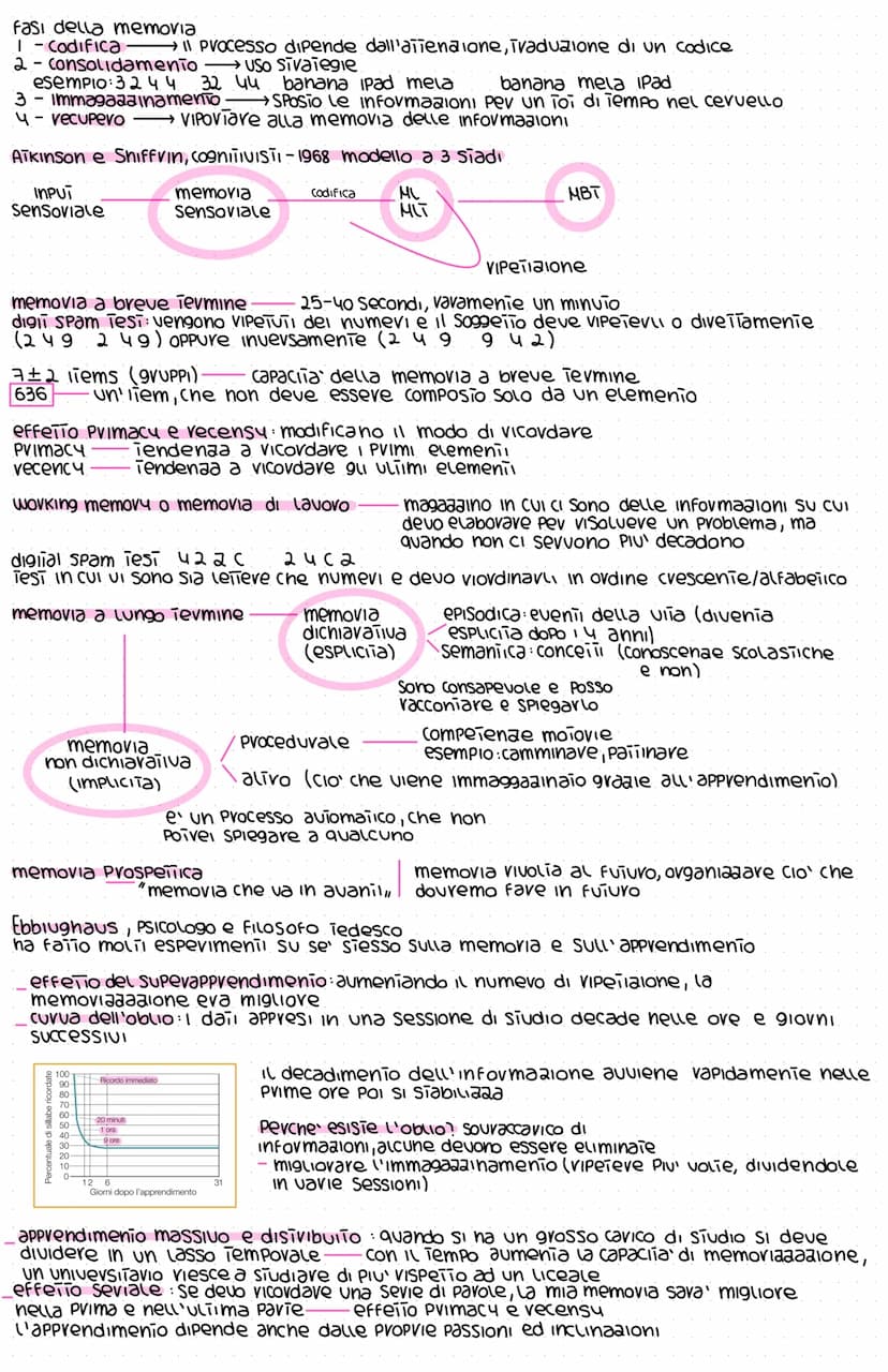 Memoria
Possiamo immaginare la memoria come un magazzino, in cui gli elementi vengono
divisi aiivavevso 2 (viievi: quantita' di informazioni