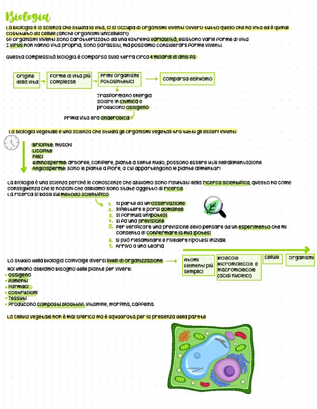 Scopri l'Origine della Vita e l'Importanza degli Alberi