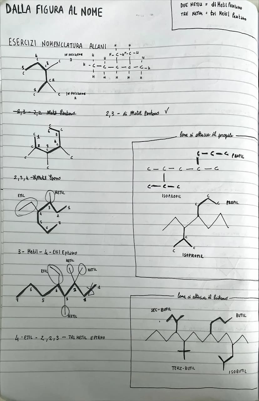 ORGANON Soumento
Lo climine dei composti del corbonio.
PROPRIETA DEL CARBONIO
• Si può legare a se stesso foumondo delle catene molto lunglu