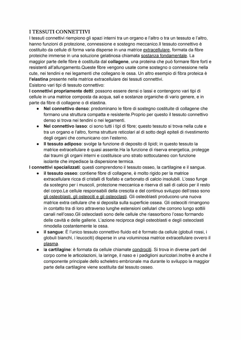 I TESSUTI
Il corpo umano deriva dallo sviluppo dello zigote che, con la mitosi, si divide più volte
generando cellule che si organizzano e s