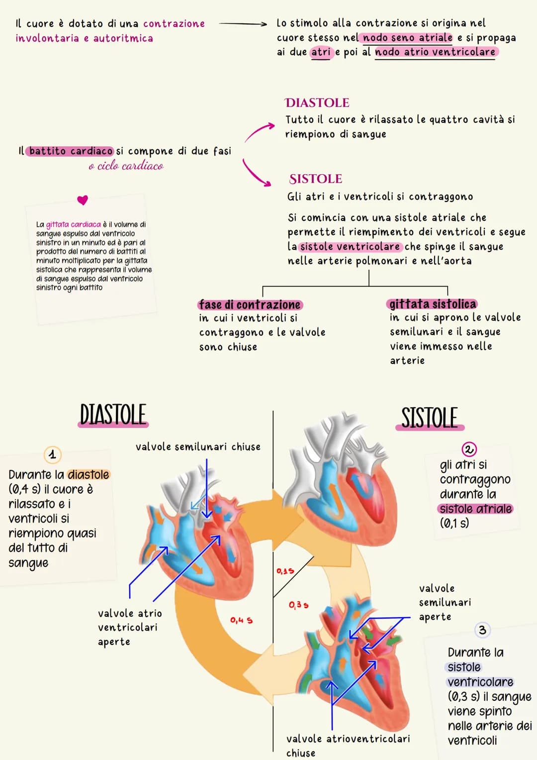 Sistema cardiovascolare
Il sistema circolatorio cardiovascolare gestisce la distribuzione a tutte le
cellule dell'organismo di ossigeno e so