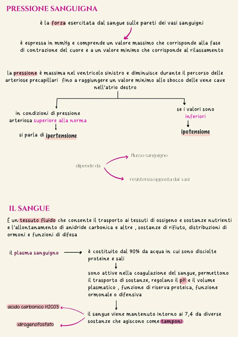 Sistema cardiovascolare
Il sistema circolatorio cardiovascolare gestisce la distribuzione a tutte le
cellule dell'organismo di ossigeno e so