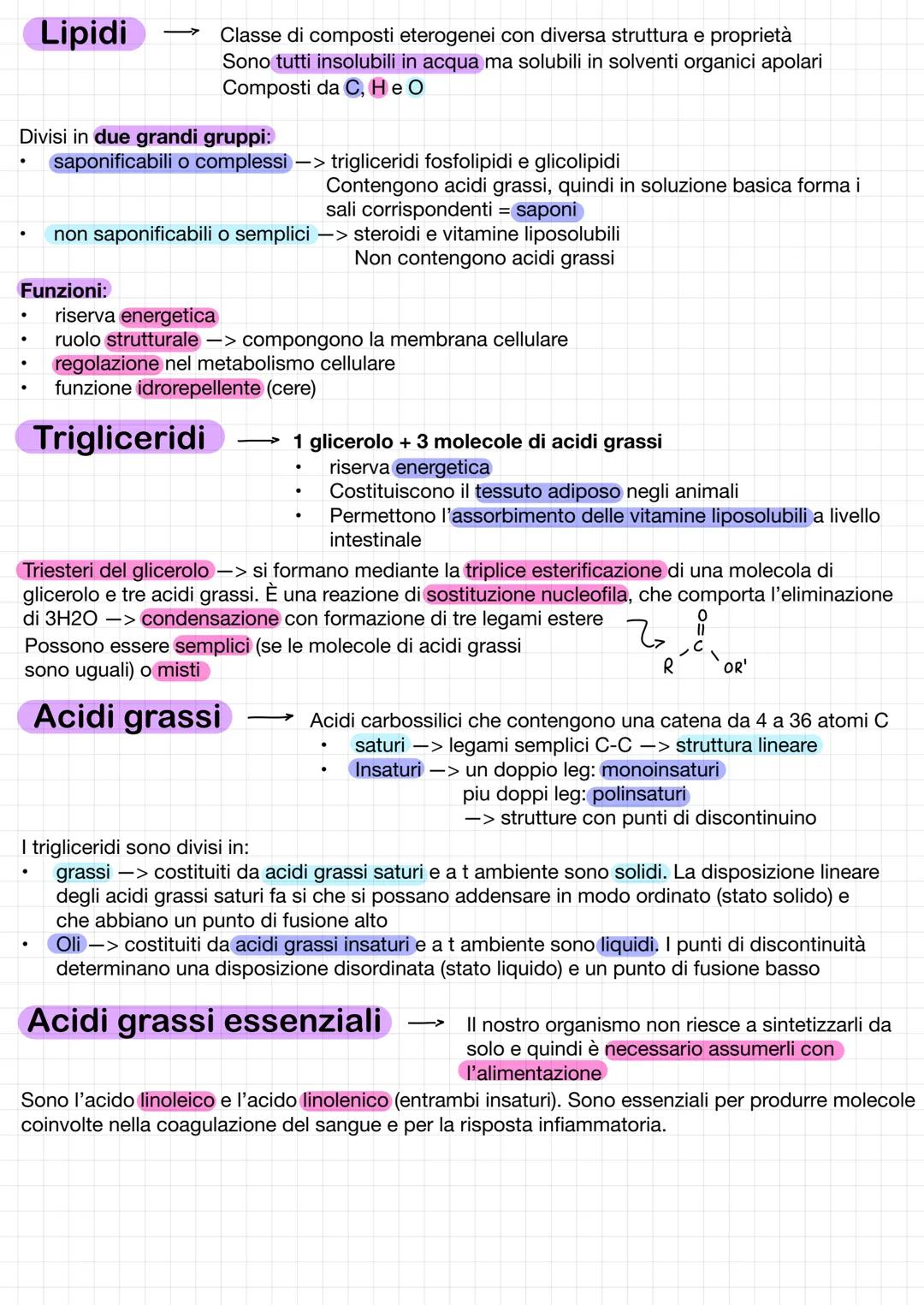 .
Lipidi
Divisi in due grandi gruppi:
saponificabili o complessi -> trigliceridi fosfolipidi e glicolipidi
.
Funzioni:
->>
Classe di compost