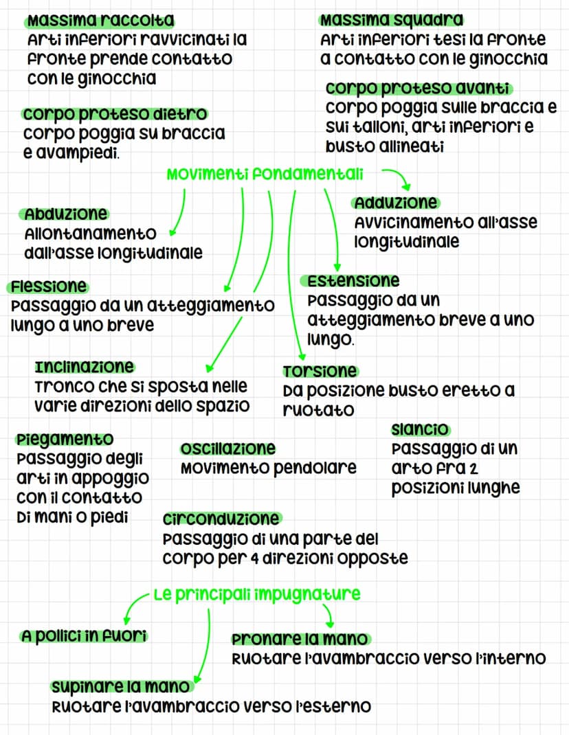 linguaggio specifico
Gli assi e i piani
Asse longitudinale
Linea immaginaria che
Attraversa il corpo
Dall'alto al basso, si
possono fare mov