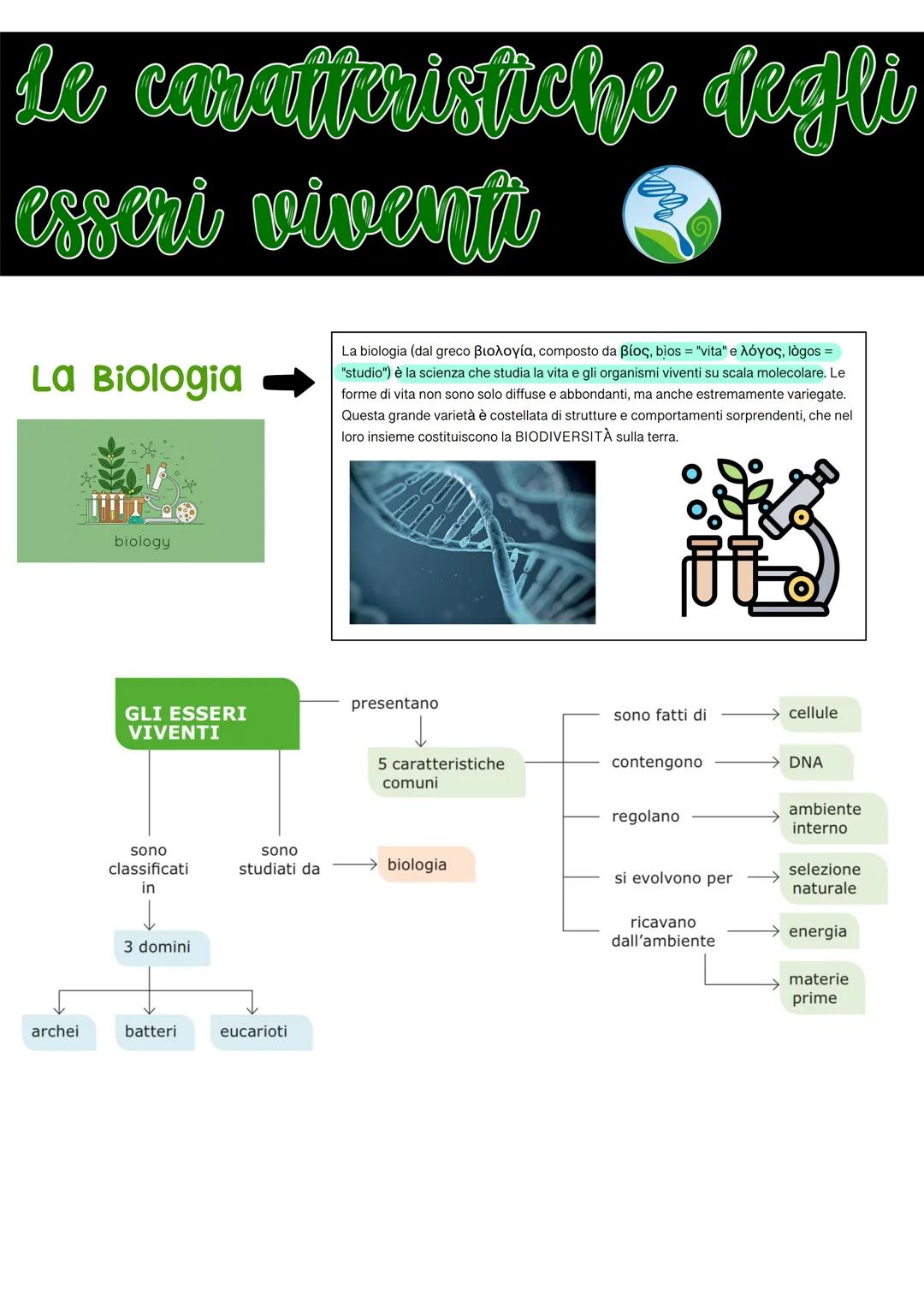 biology le caratteristiche degli
esseri viventi
La Biologia
archei
biology
GLI ESSERI
VIVENTI
sono
classificati
in
3 domini
batteri
sono
stu