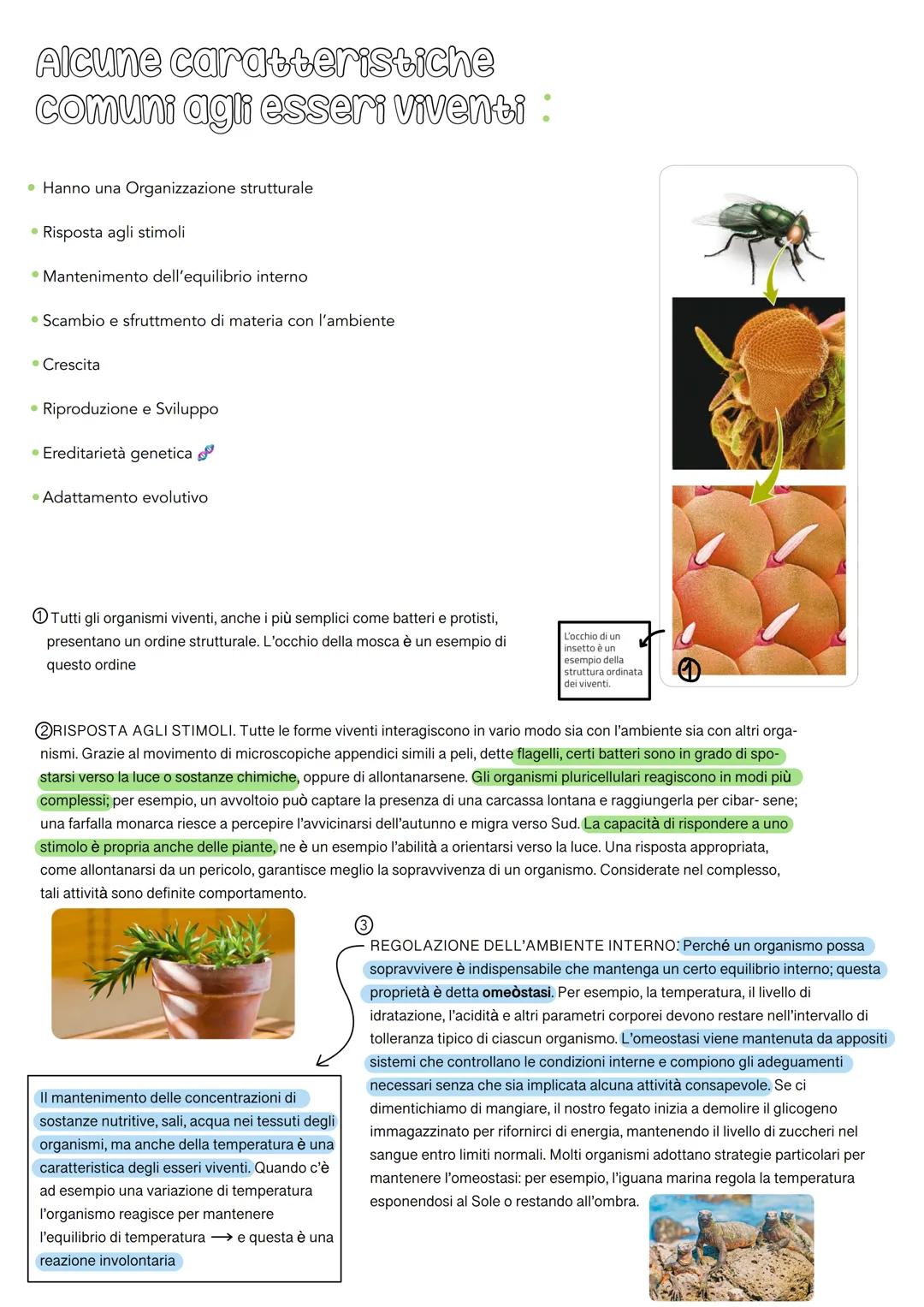 biology le caratteristiche degli
esseri viventi
La Biologia
archei
biology
GLI ESSERI
VIVENTI
sono
classificati
in
3 domini
batteri
sono
stu