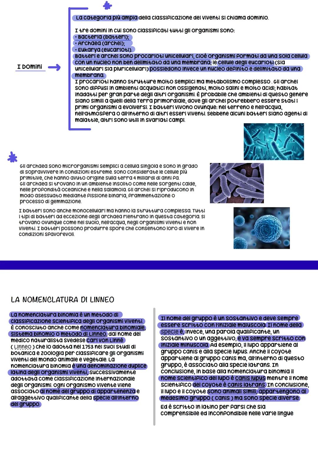 biology le caratteristiche degli
esseri viventi
La Biologia
archei
biology
GLI ESSERI
VIVENTI
sono
classificati
in
3 domini
batteri
sono
stu