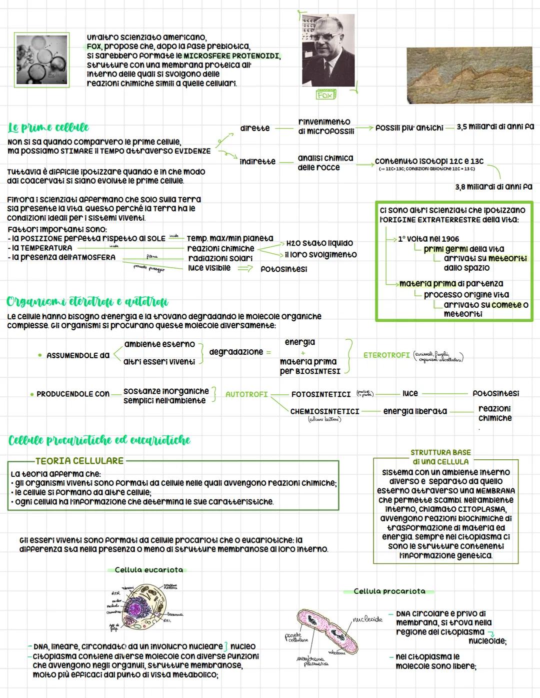 (
Origine della vita:
le prime cellule
Origine della materia
secondo diverse teorie, l'energia e la materia
erano concentrati in un unico PU
