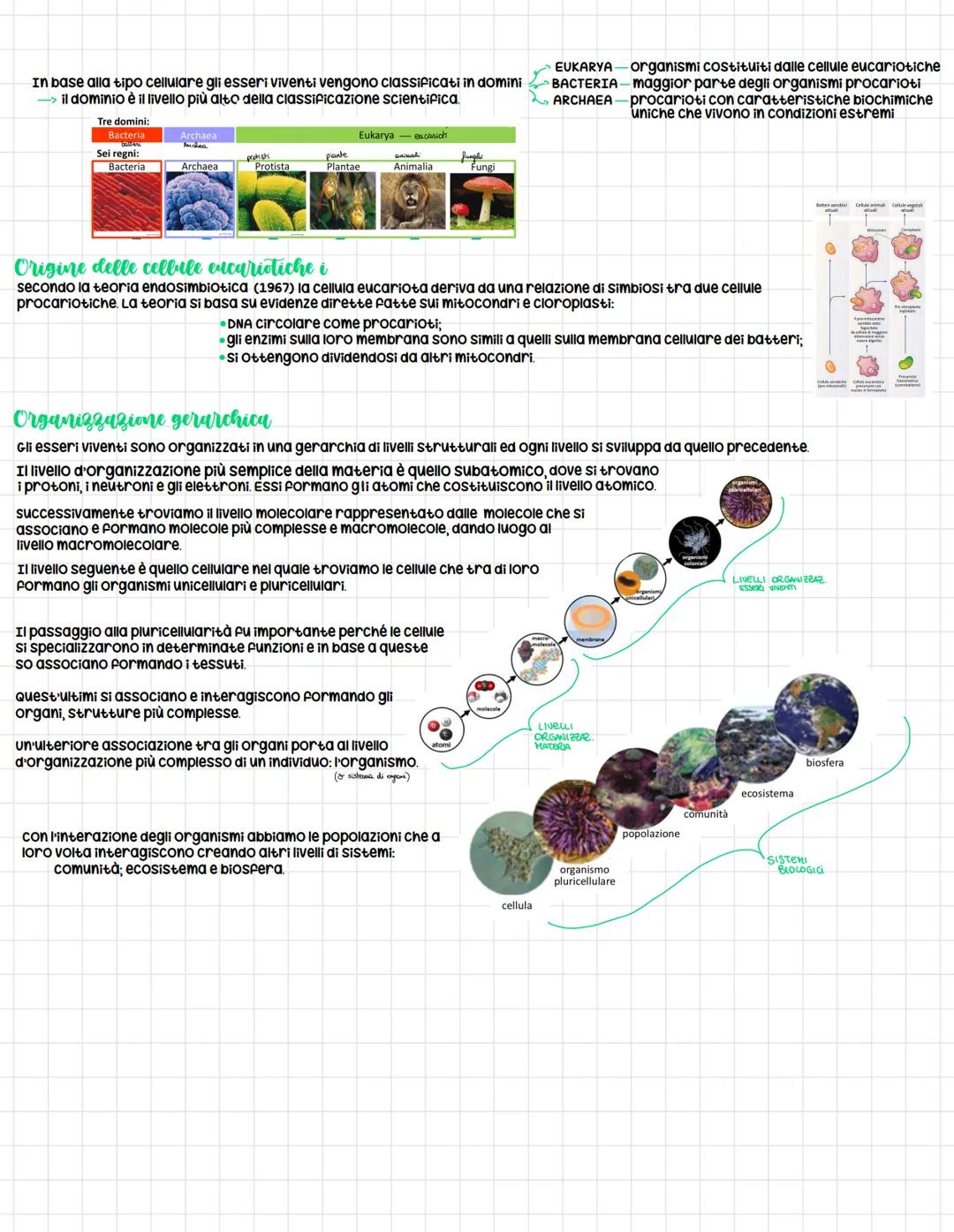 (
Origine della vita:
le prime cellule
Origine della materia
secondo diverse teorie, l'energia e la materia
erano concentrati in un unico PU