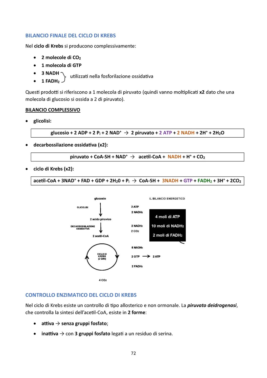 4) INTRODUZIONE
CICLO DI KREBS
Vaso
sanguigno
Esterno
della cellula
Ossigeno
Glicolisi
Glucosio-Piruvato
NADH
NADH
0
Reazione
preparatoria
C