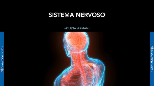 Know Sistema nervoso thumbnail