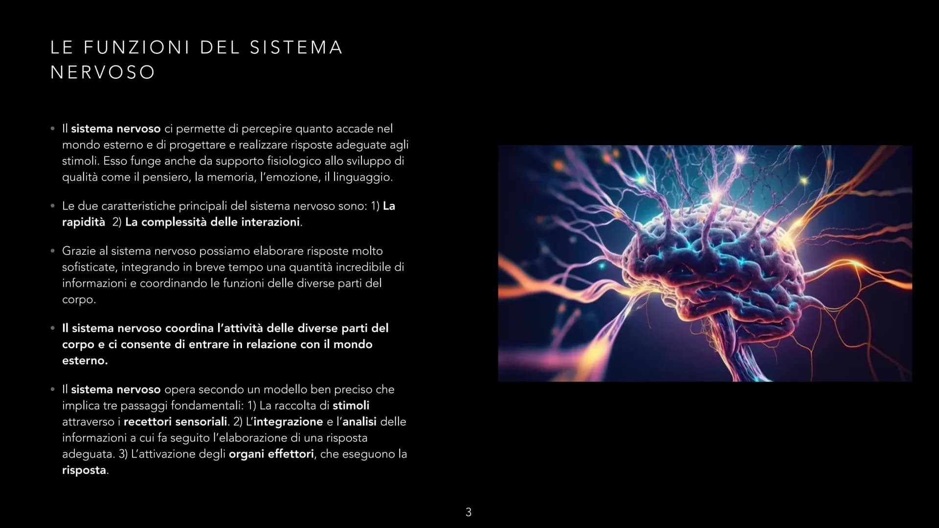 dove comemicuro.it
SISTEMA NERVOSO
-CLIZIA ARMANI
doveecomemicuro.it COS'È IL SISTEMA NERVOSO
• || sistema nervoso è l'insieme degli organi 