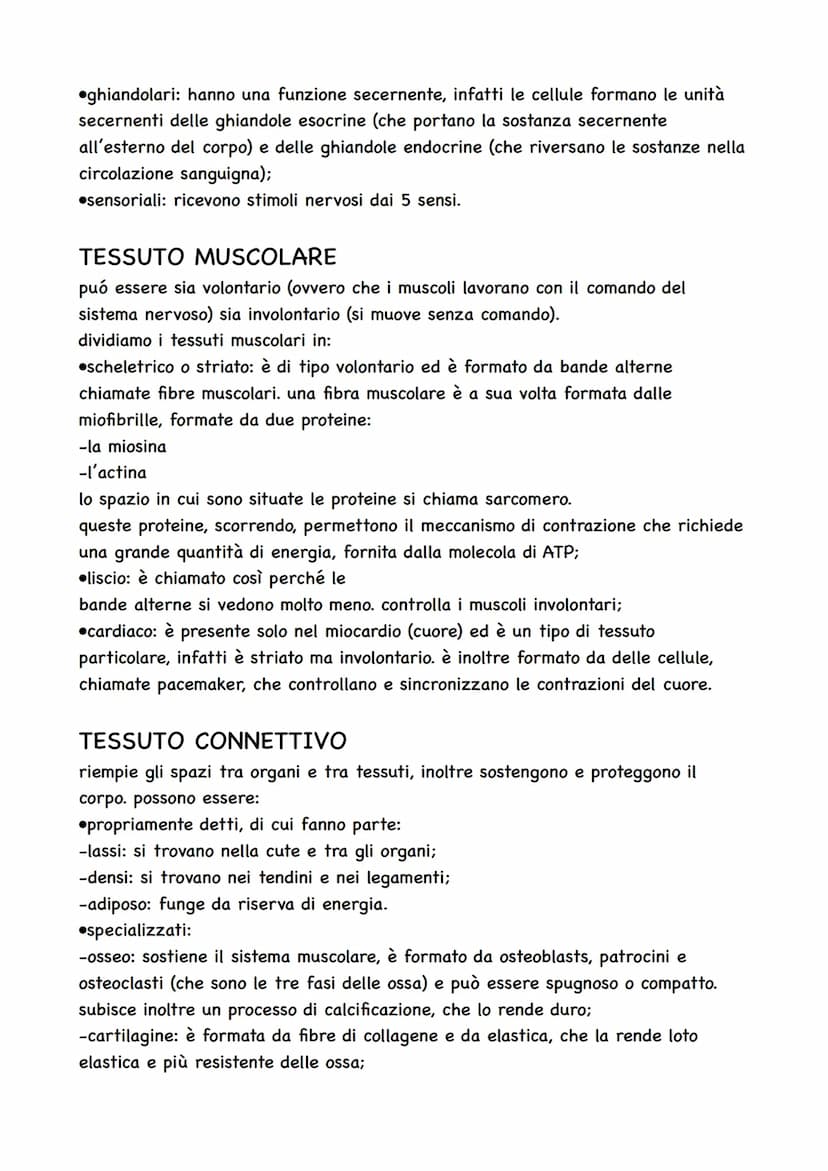 I TESSUTI
ogni organismo deriva da una sola cellula: lo zigote, formato dall'unione di ovulo e
spermatozoo. lo zigote è una cellula formata 