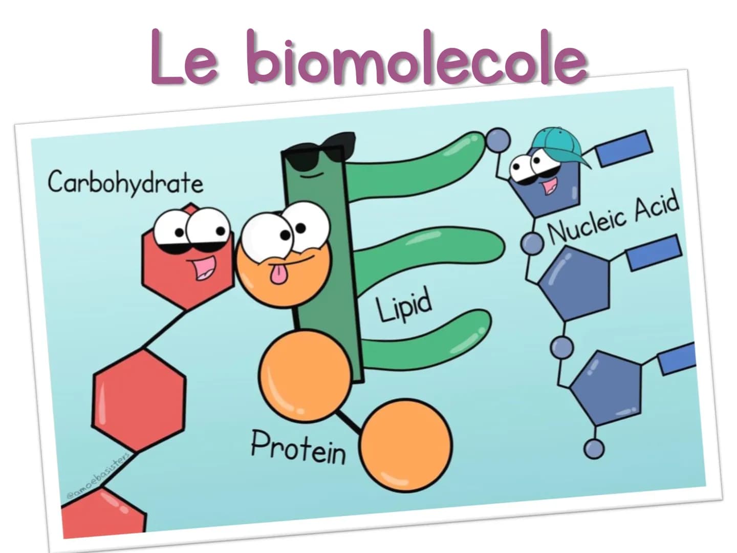 Le biomolecole
Carbohydrate
Camoebasisters
Protein
Lipid
Nucleic Acid H
Una biomolecola è un composto chimico che riveste un
ruolo important