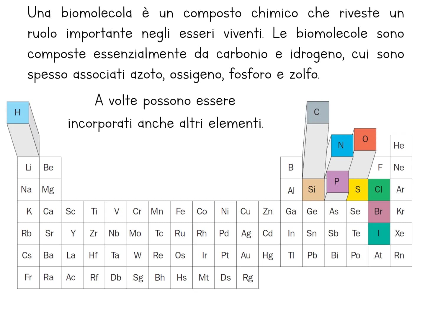 Le biomolecole
Carbohydrate
Camoebasisters
Protein
Lipid
Nucleic Acid H
Una biomolecola è un composto chimico che riveste un
ruolo important