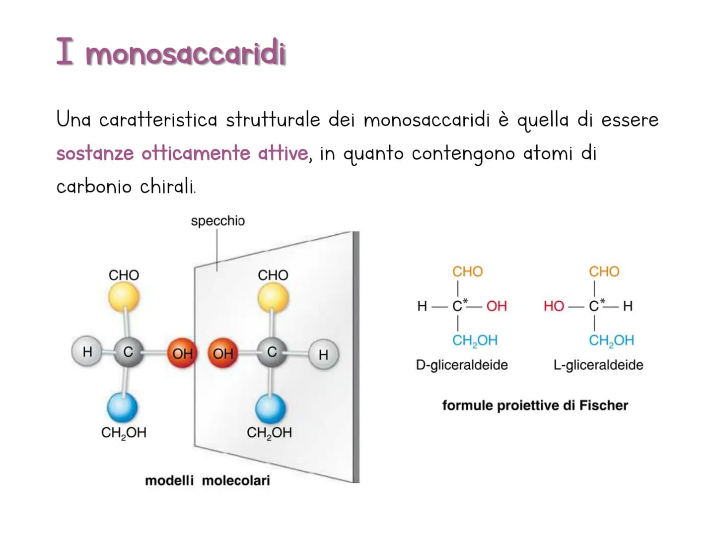 Le biomolecole
Carbohydrate
Camoebasisters
Protein
Lipid
Nucleic Acid H
Una biomolecola è un composto chimico che riveste un
ruolo important