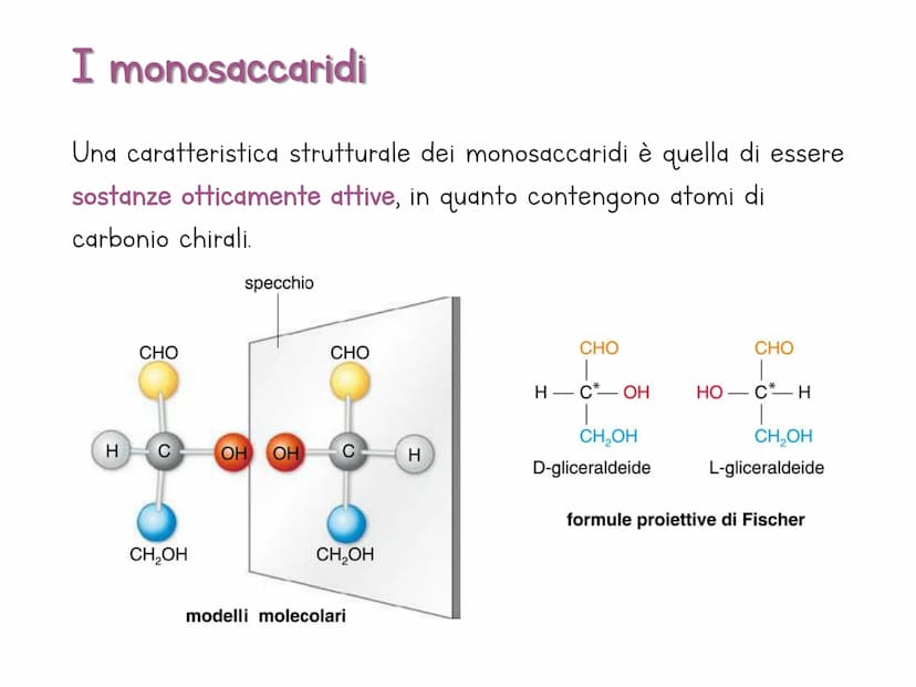 Le biomolecole
Carbohydrate
Camoebasisters
Protein
Lipid
Nucleic Acid H
Una biomolecola è un composto chimico che riveste un
ruolo important