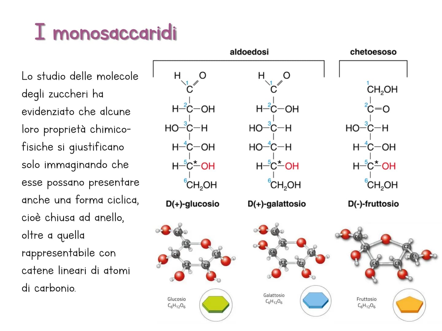 Le biomolecole
Carbohydrate
Camoebasisters
Protein
Lipid
Nucleic Acid H
Una biomolecola è un composto chimico che riveste un
ruolo important