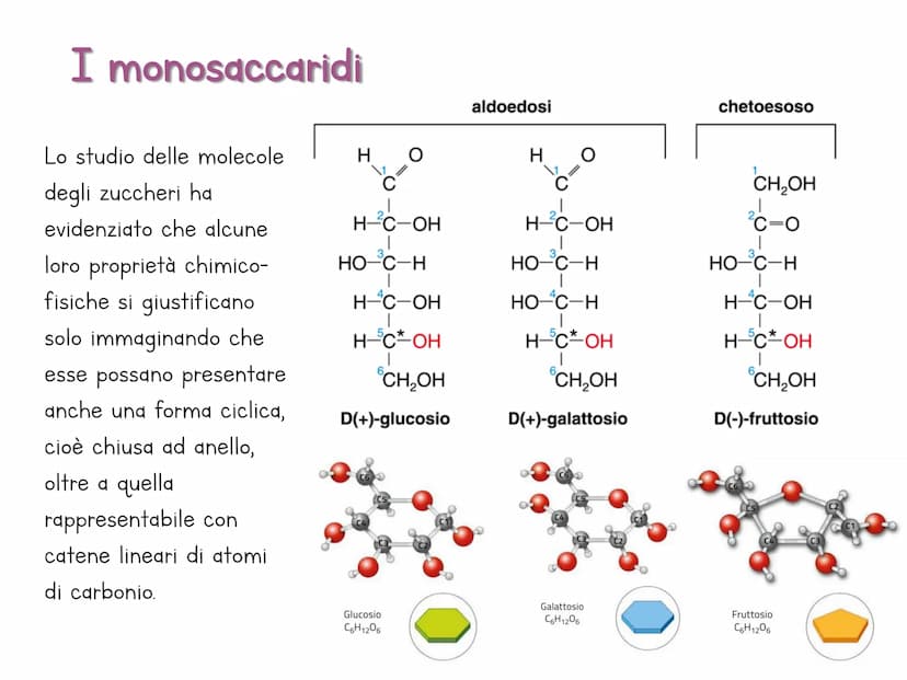 Le biomolecole
Carbohydrate
Camoebasisters
Protein
Lipid
Nucleic Acid H
Una biomolecola è un composto chimico che riveste un
ruolo important