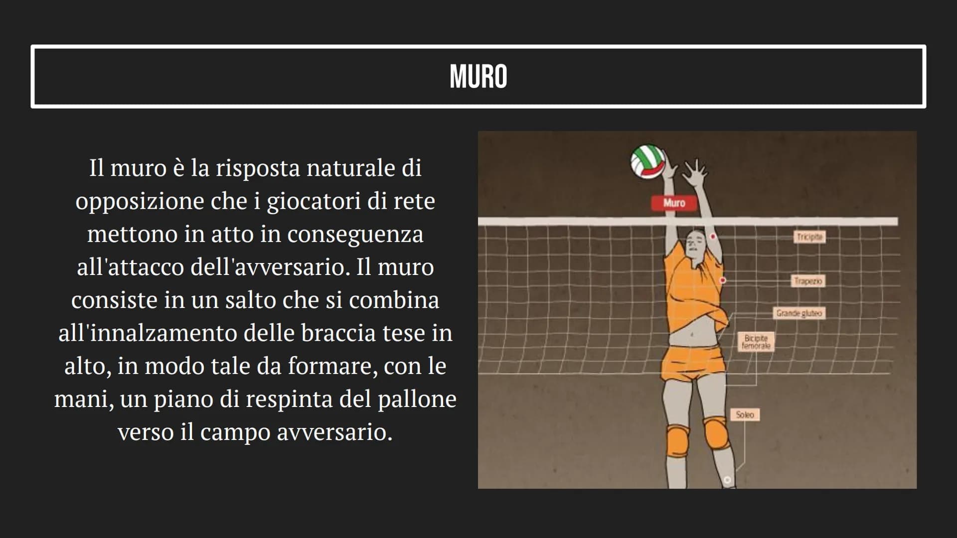 LA PALLAVOLO INDICE
1
2
3
LA PALLAVOLO
IL CAMPO E IL PALLONE
TIPI DI COLPI COS'È LA PALLAVOLO?
La pallavolo è un gioco di squadra che consis