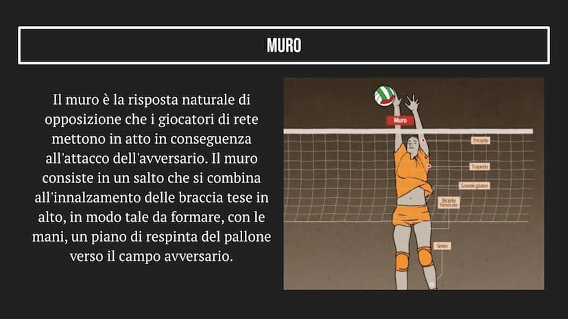 LA PALLAVOLO INDICE
1
2
3
LA PALLAVOLO
IL CAMPO E IL PALLONE
TIPI DI COLPI COS'È LA PALLAVOLO?
La pallavolo è un gioco di squadra che consis