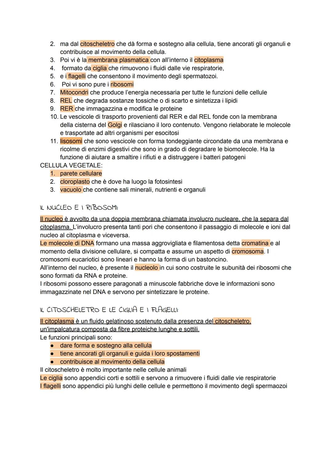 La cellula
DALLE BIOMOLECOLE ALLE CELLULE:
Tutte le cellule sono formate da biomolecole e acqua che si organizzano per formare
strutture com