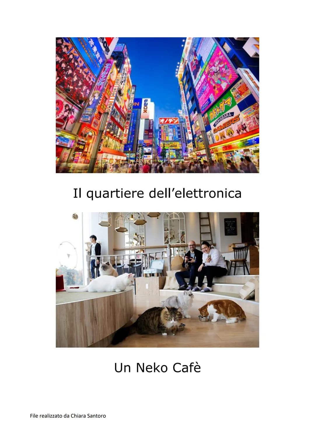 Scopri i Mari e Fiumi dell'Asia e le Sue Città Importanti
