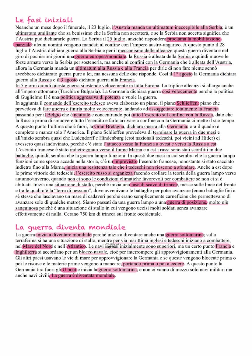 La posizione dell'Italia
In questo contesto l'Italia è neutrale perché quando scoppia la guerra, in Italia le posizioni i sono contrastanti;
