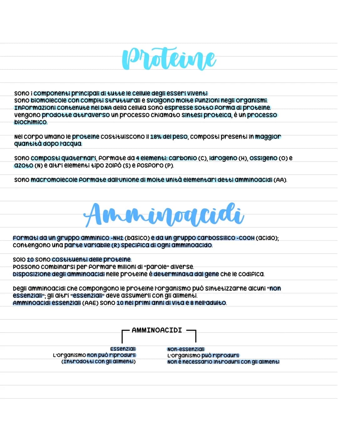 Le proteine, legame peptidico, denaturazione proteica, enzimi e amminoacidi 
