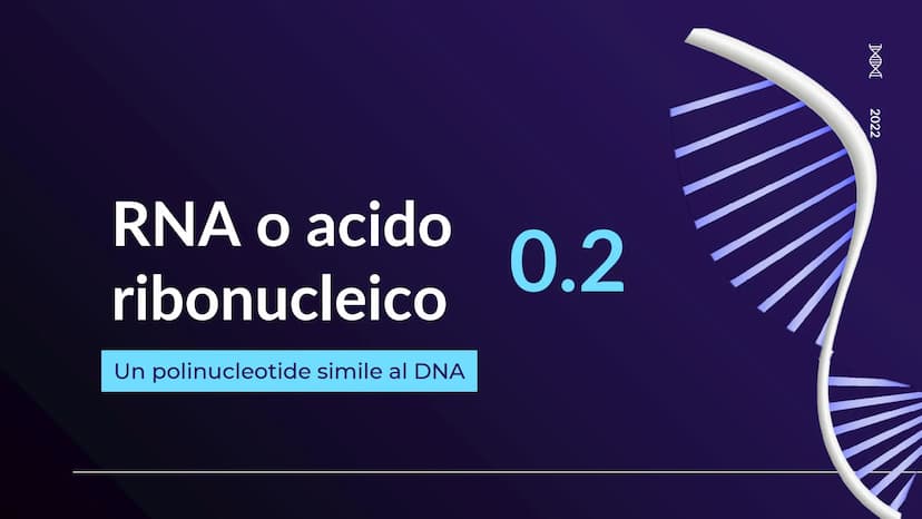 XHA
ACIDI NUCLEICI
Sofia Balzarelli, Francesco Borgese, Alexander
Borraccino, Marco Carusone - 2E
MM
2023
POERPOINT DI SCIENZE 01
02
03
TABE