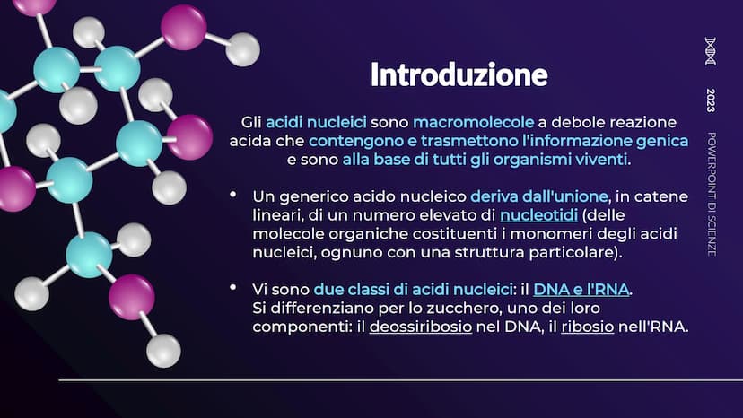 XHA
ACIDI NUCLEICI
Sofia Balzarelli, Francesco Borgese, Alexander
Borraccino, Marco Carusone - 2E
MM
2023
POERPOINT DI SCIENZE 01
02
03
TABE