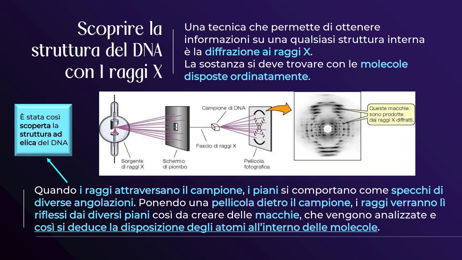 XHA
ACIDI NUCLEICI
Sofia Balzarelli, Francesco Borgese, Alexander
Borraccino, Marco Carusone - 2E
MM
2023
POERPOINT DI SCIENZE 01
02
03
TABE