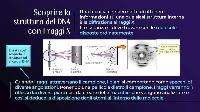 XHA
ACIDI NUCLEICI
Sofia Balzarelli, Francesco Borgese, Alexander
Borraccino, Marco Carusone - 2E
MM
2023
POERPOINT DI SCIENZE 01
02
03
TABE