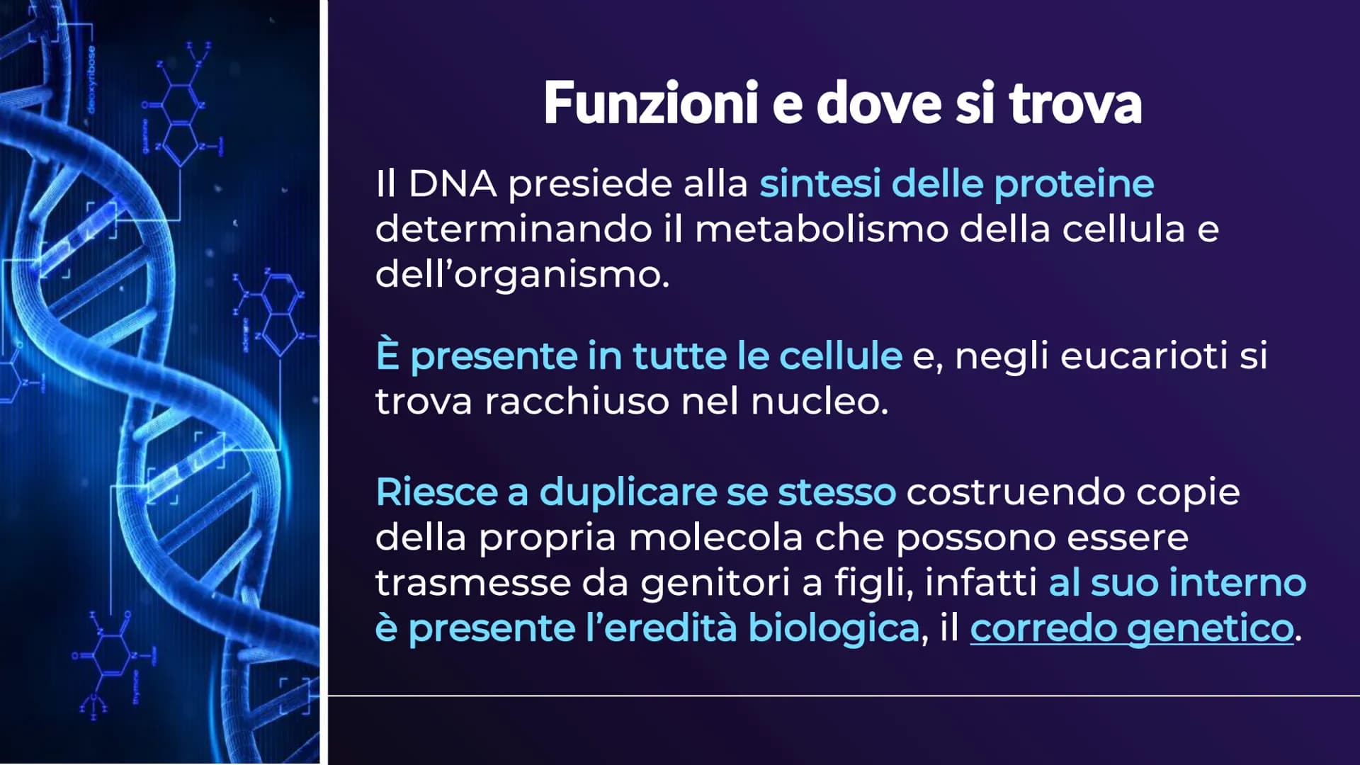XHA
ACIDI NUCLEICI
Sofia Balzarelli, Francesco Borgese, Alexander
Borraccino, Marco Carusone - 2E
MM
2023
POERPOINT DI SCIENZE 01
02
03
TABE