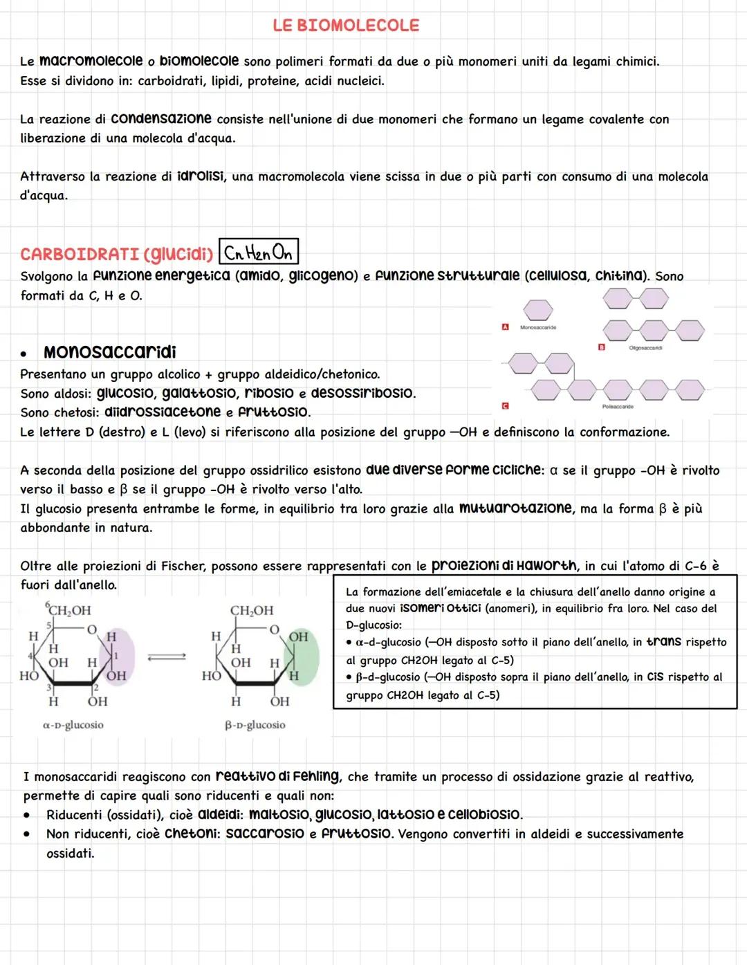 Scopri la differenza tra α-d-glucosio e ß-d-glucosio e altre curiosità!