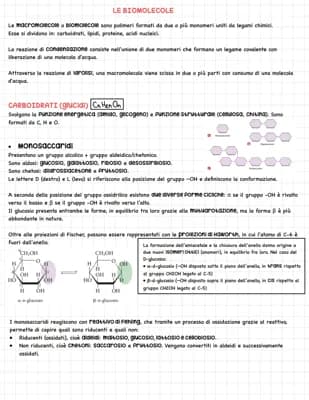 Know Le Biomolecole thumbnail