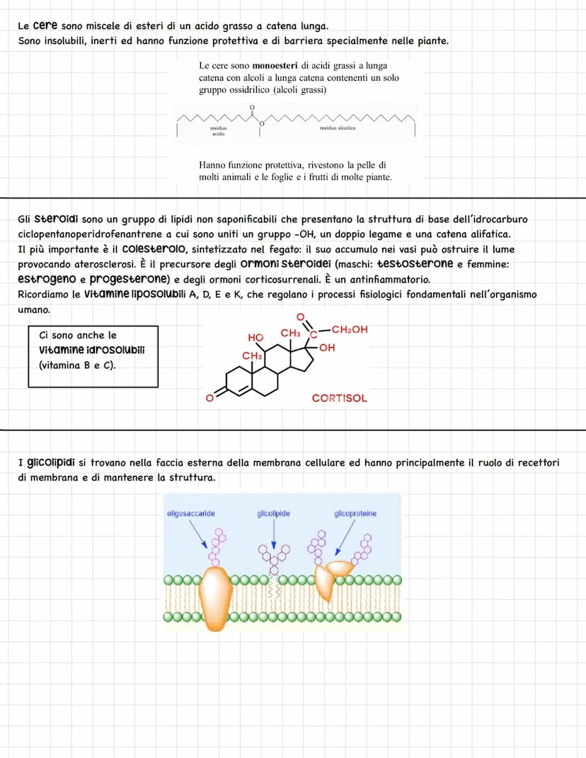 LE BIOMOLECOLE
Le macromolecole o biomolecole sono polimeri formati da due o più monomeri uniti da legami chimici.
Esse si dividono in: carb