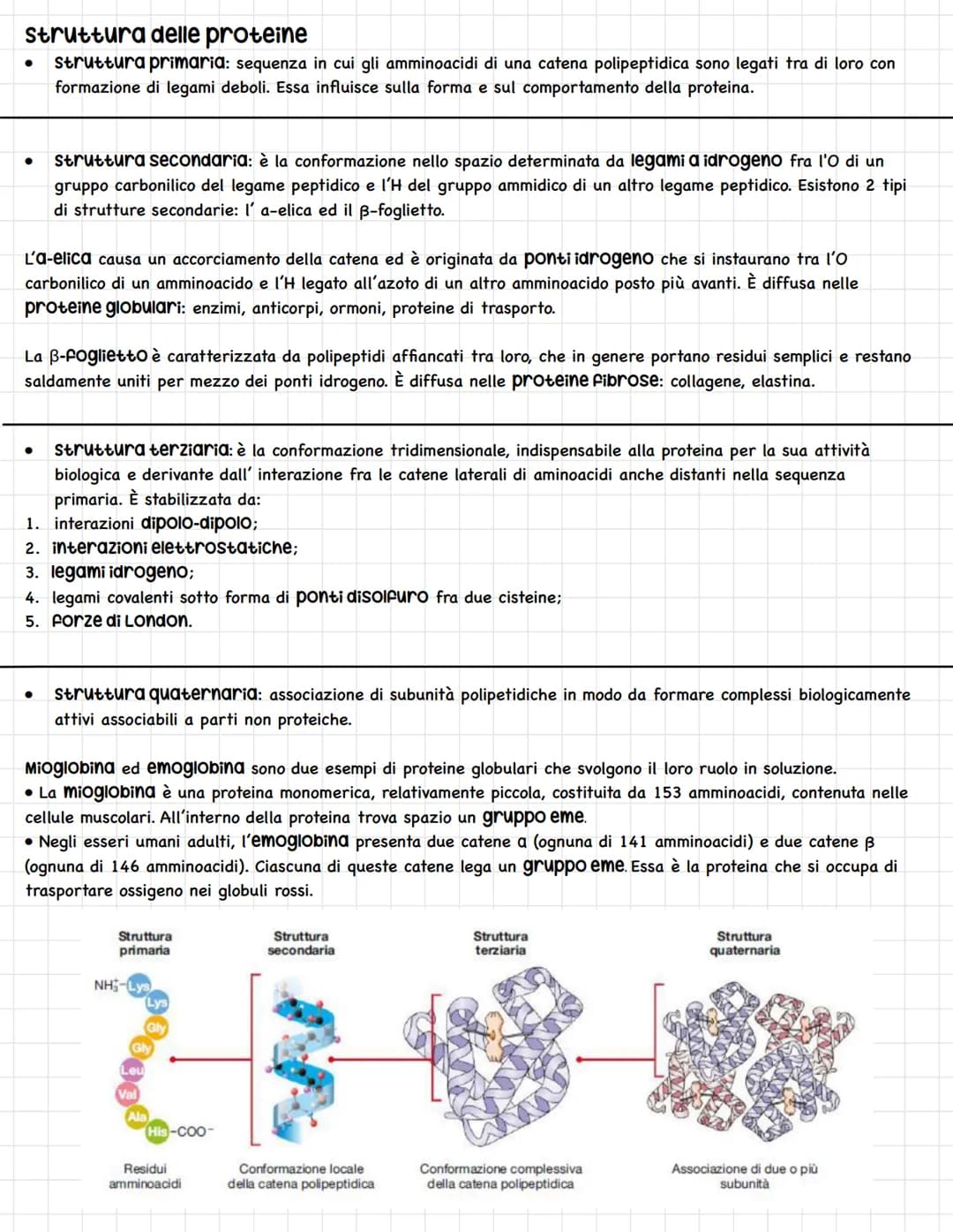LE BIOMOLECOLE
Le macromolecole o biomolecole sono polimeri formati da due o più monomeri uniti da legami chimici.
Esse si dividono in: carb