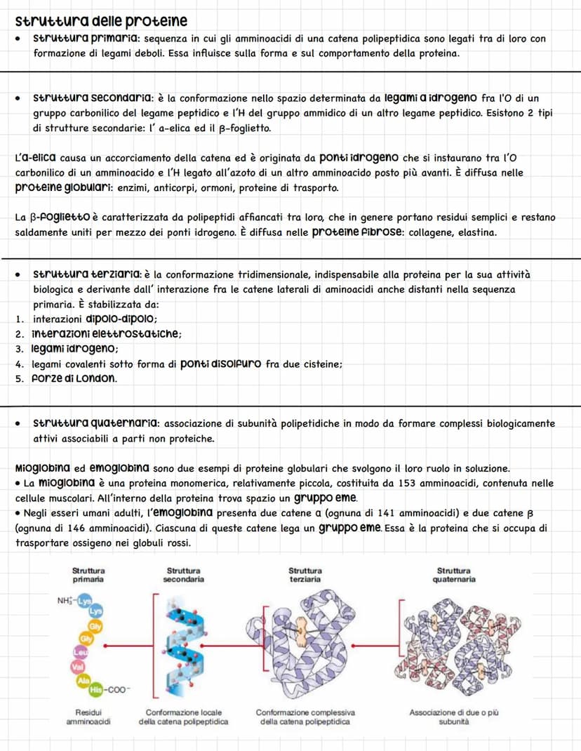 LE BIOMOLECOLE
Le macromolecole o biomolecole sono polimeri formati da due o più monomeri uniti da legami chimici.
Esse si dividono in: carb