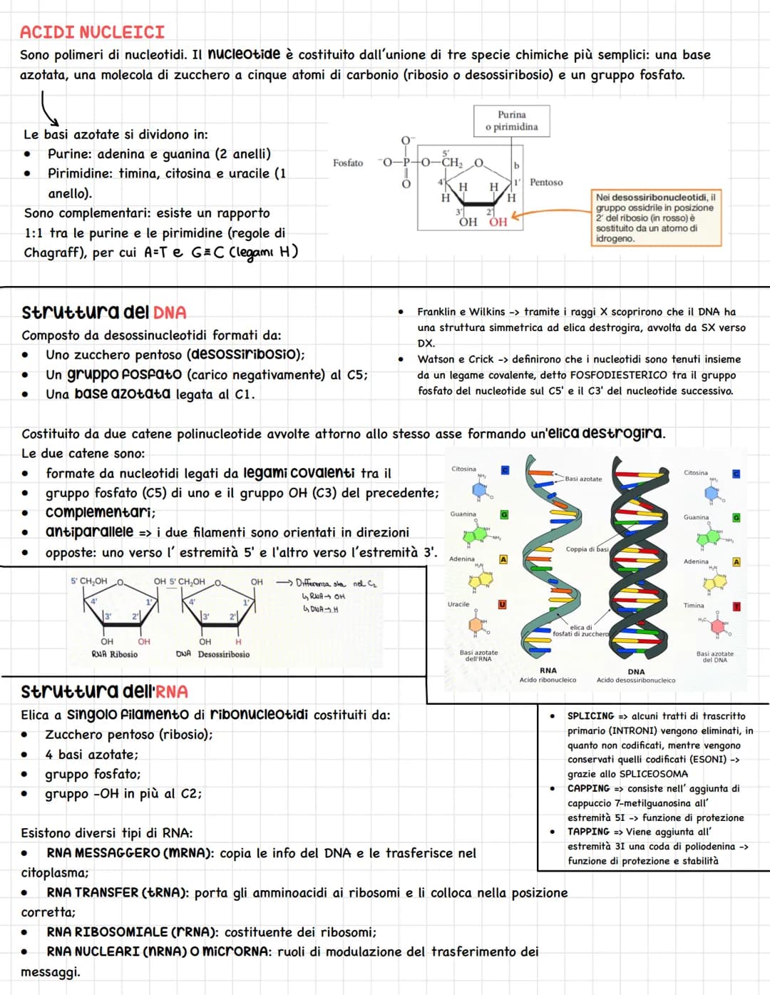 LE BIOMOLECOLE
Le macromolecole o biomolecole sono polimeri formati da due o più monomeri uniti da legami chimici.
Esse si dividono in: carb