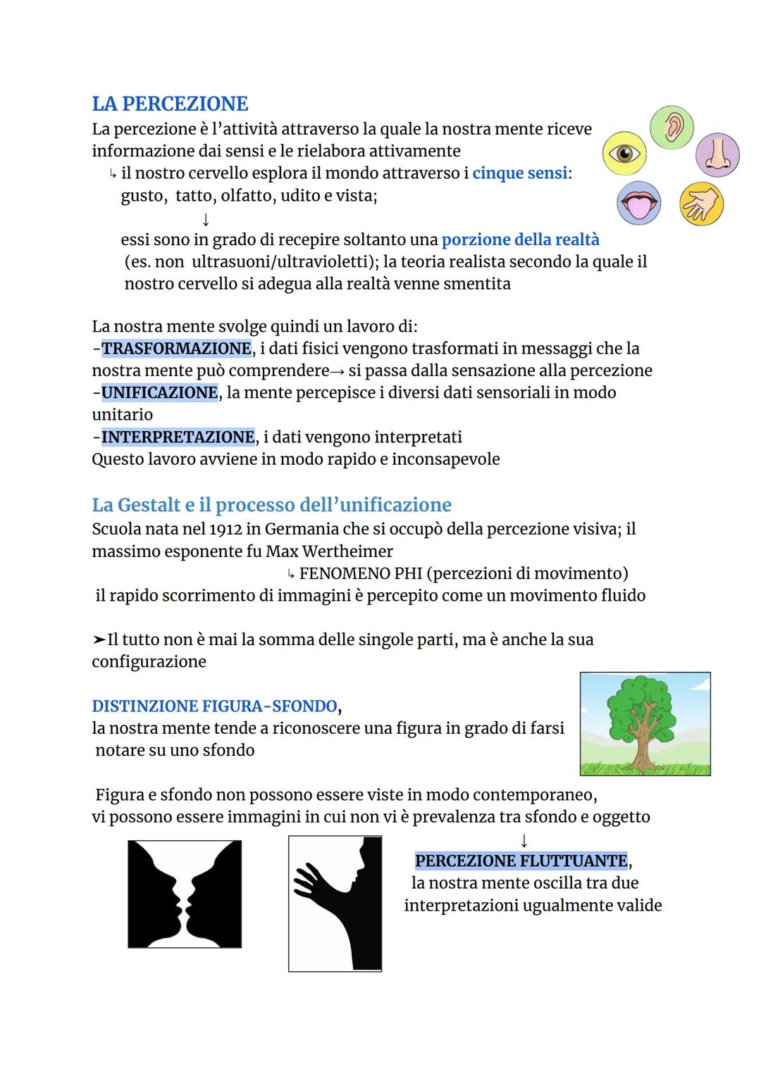 L'OCCHIO
iride
umor
acqueo
cornea
pupilla
cristallino
muscolo ciliare
↓
strato più esterno
retina
coroide
fovea
centrale
punto
cieco
nervo
a