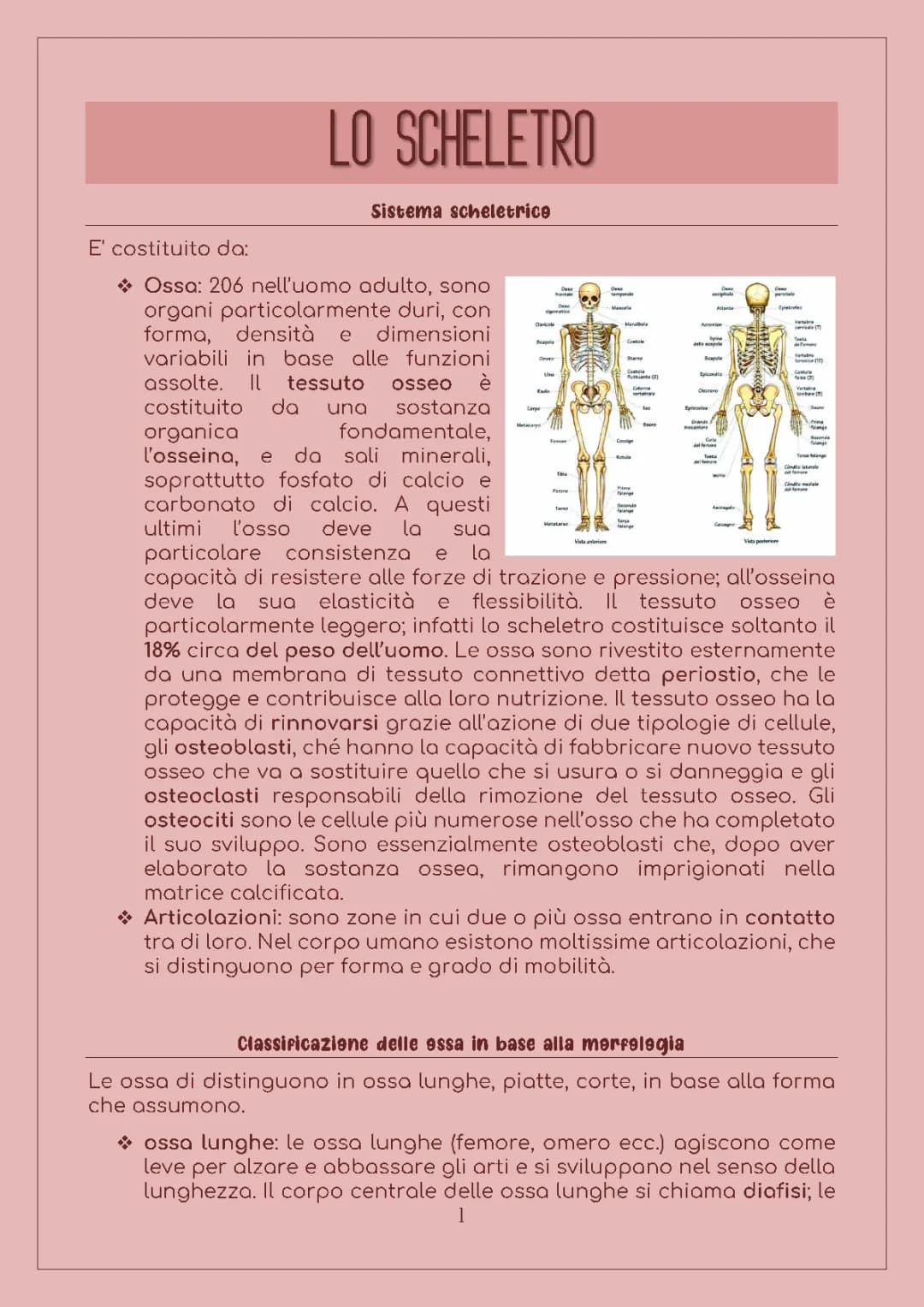 LO SCHELETRO 