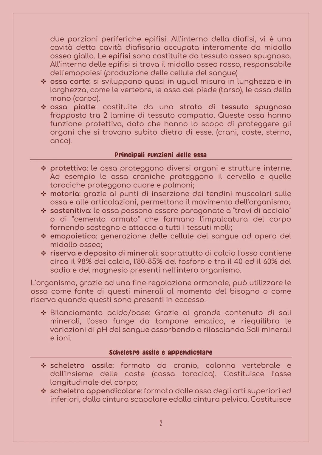 E' costituito da:
LO SCHELETRO
Sistema scheletrice
Ossa: 206 nell'uomo adulto, sono
organi particolarmente duri, con
forma, densità e dimens