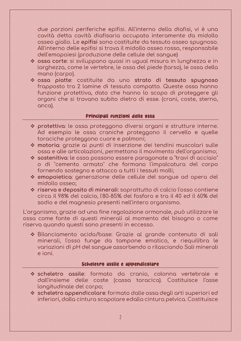 E' costituito da:
LO SCHELETRO
Sistema scheletrice
Ossa: 206 nell'uomo adulto, sono
organi particolarmente duri, con
forma, densità e dimens
