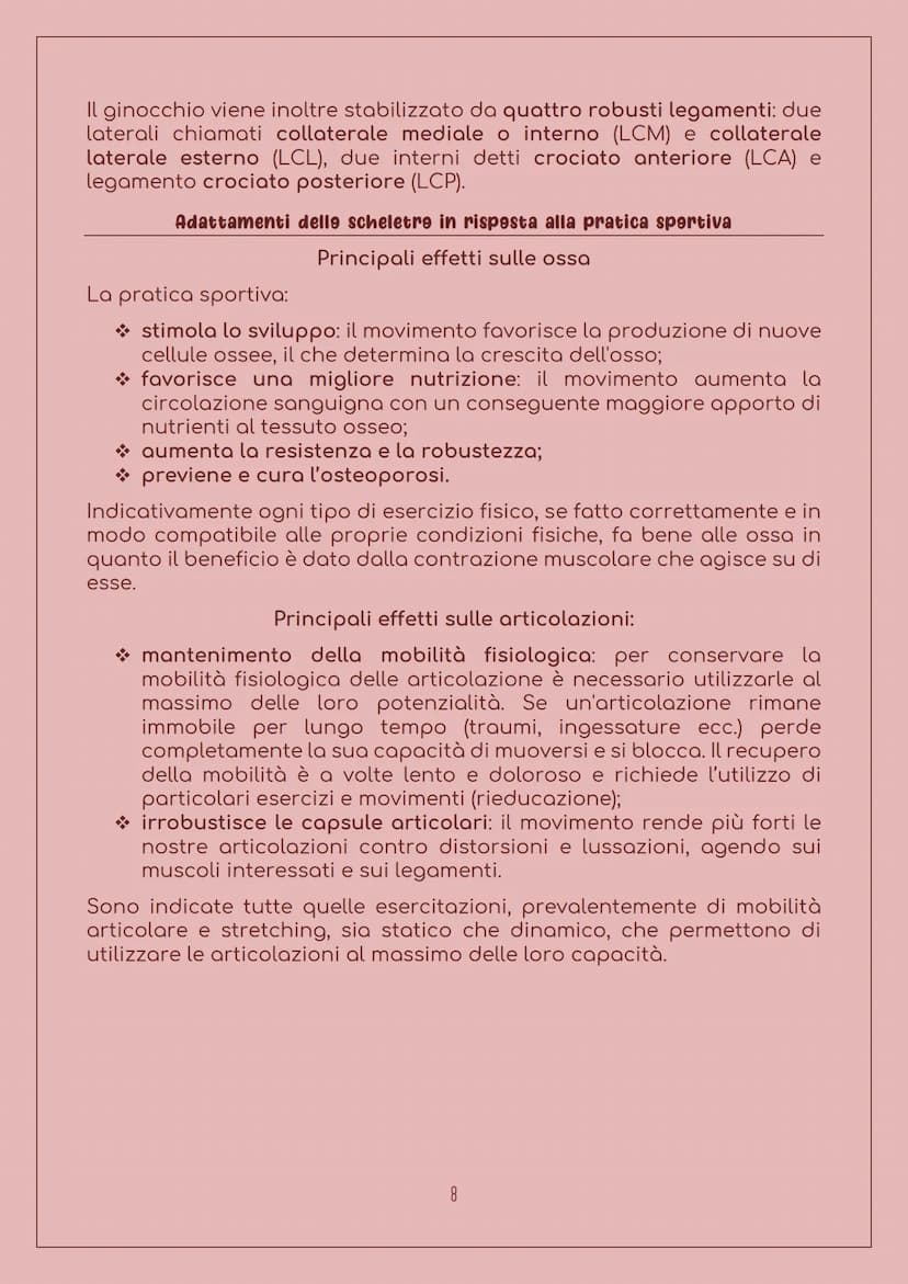 E' costituito da:
LO SCHELETRO
Sistema scheletrice
Ossa: 206 nell'uomo adulto, sono
organi particolarmente duri, con
forma, densità e dimens