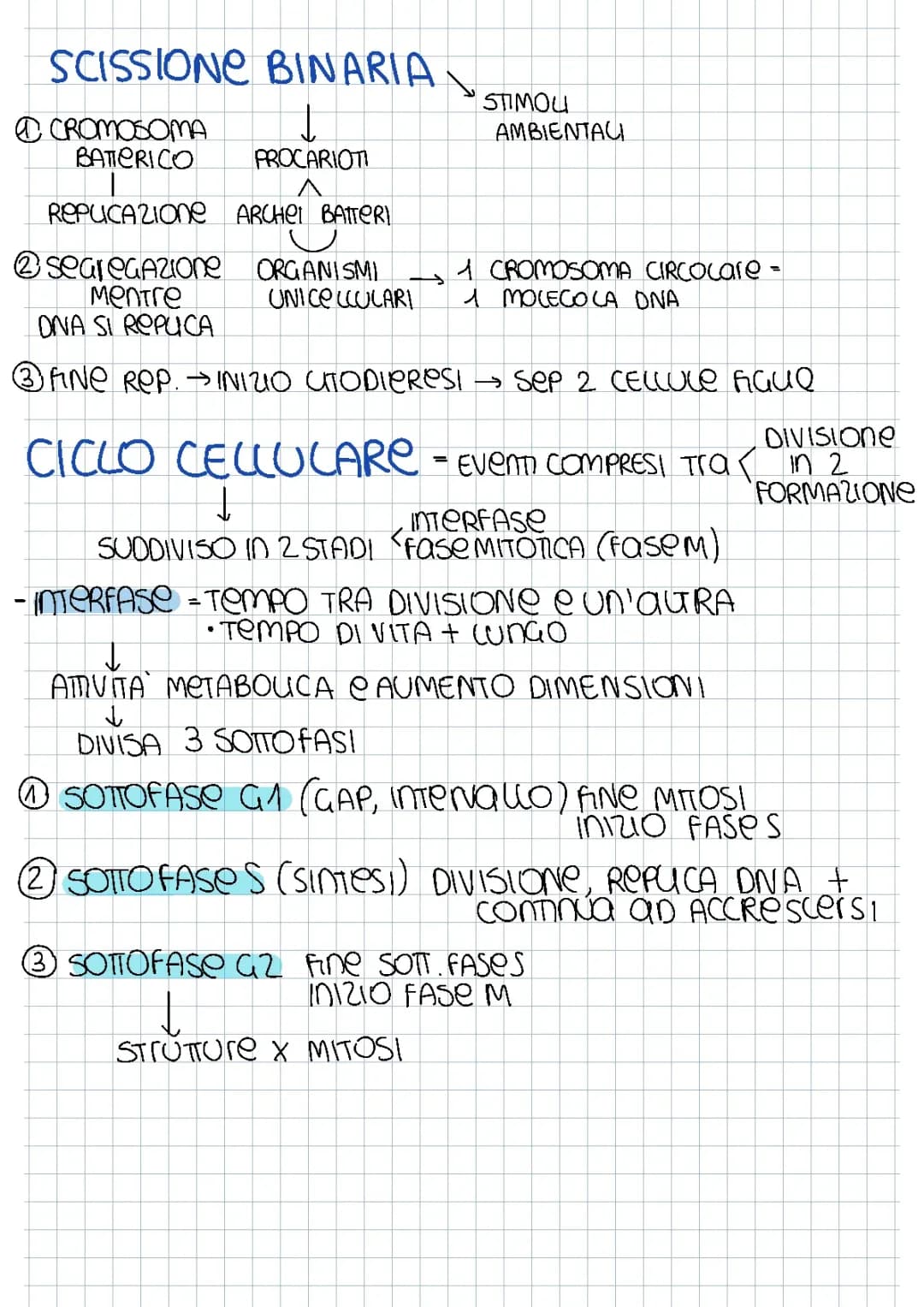 CICLO CELLULARE, DIVISIONE CELLULARE, MITOSI, MEIOSI