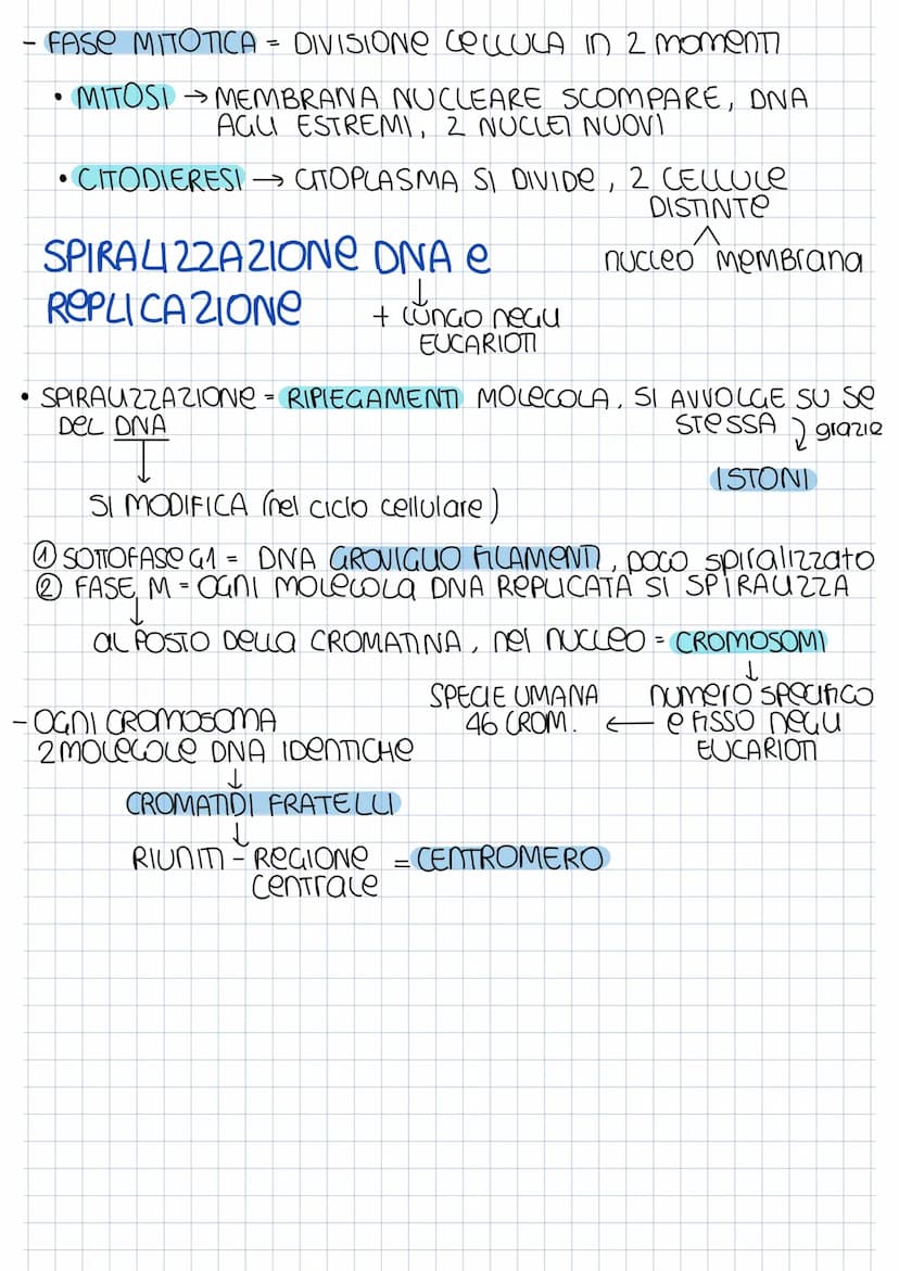 SCISSIONE BINARIA
CROMOSOMA
BATTERICO
REPUCAZIONE
searedazione
Mentre
DNA SI ROPUCA
FINE REP. INIZIO UTODIERESI → Sep 2 CELLULE AGUO
PROCARI