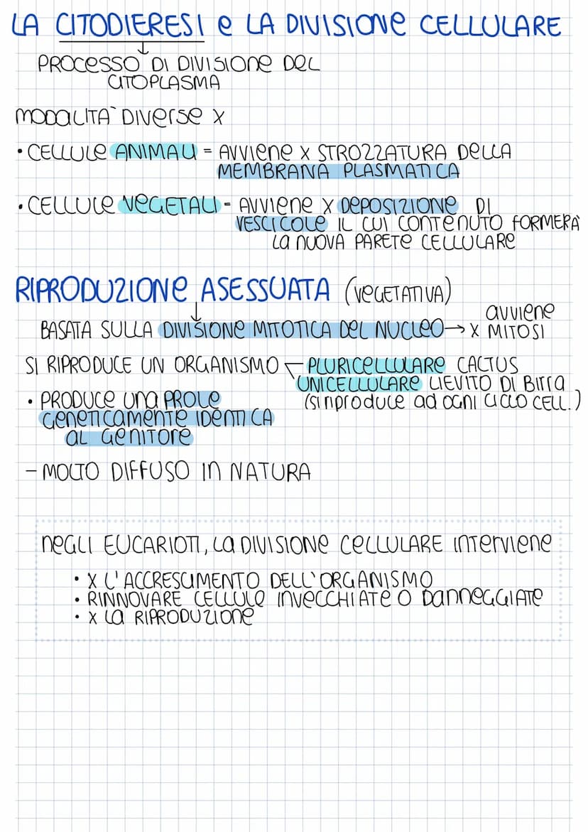 SCISSIONE BINARIA
CROMOSOMA
BATTERICO
REPUCAZIONE
searedazione
Mentre
DNA SI ROPUCA
FINE REP. INIZIO UTODIERESI → Sep 2 CELLULE AGUO
PROCARI
